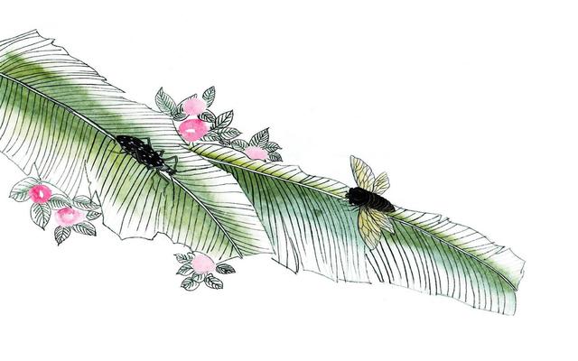 免费八字十年大运测算