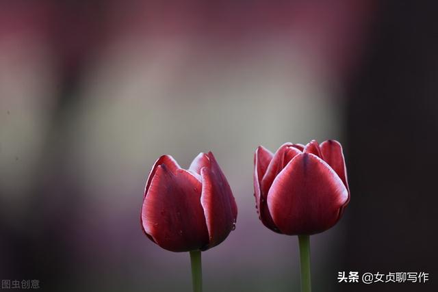 梁启超生辰八字 梁启超生辰八字