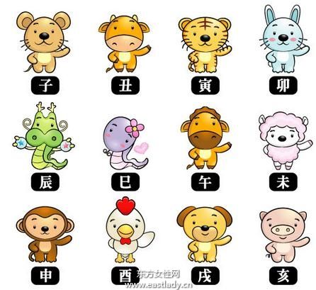 熊神进八字