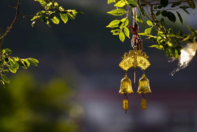 算命生辰八字流年