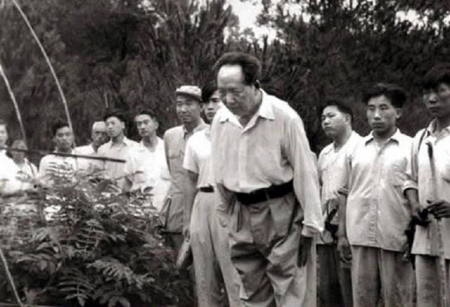 祭母对仗七字或八字祭文