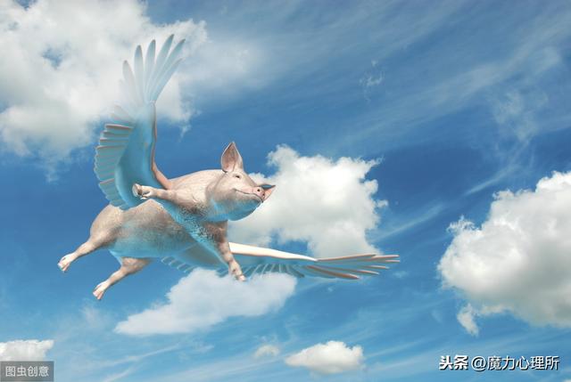 女属猪男属羊八字合吗 女属猪男属羊八字合吗