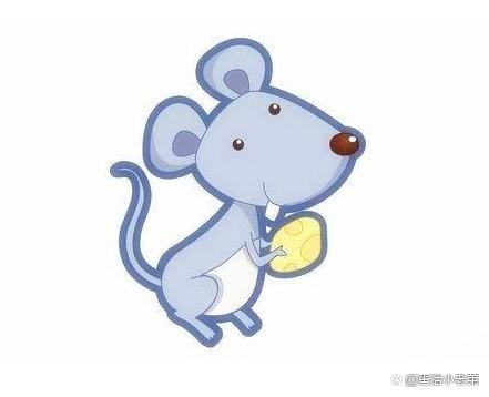 2022年生肖每月运势详解