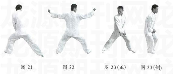 传统八字视频 传统八字视频