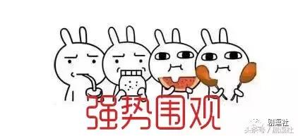 俞灏明生辰八字分析
