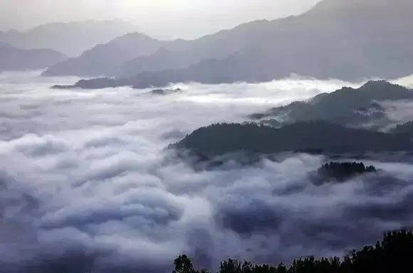 宝宝后脑勺八字形凹痕 宝宝后脑勺八字形凹痕