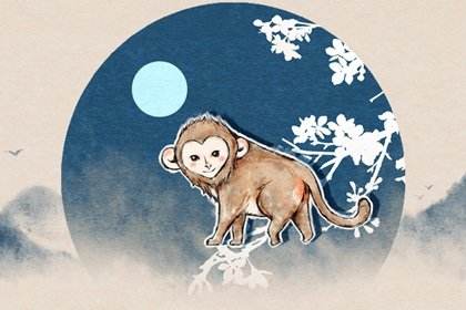 猴子2022年运势如何