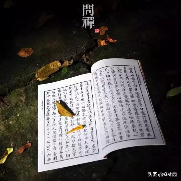 八字过硬的女人命苦
