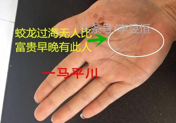 八字命九字命十字命