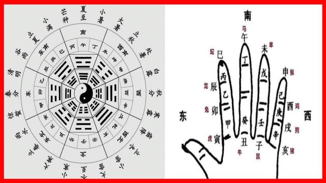 水旺木漂的八字特征 水旺木漂的八字特征
