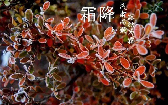 1976年闰8月28八字
