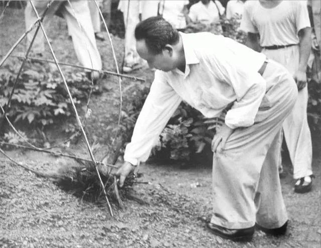 祭母对仗七字或八字祭文