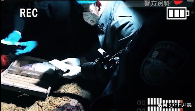 死型犯八字 死型犯八字