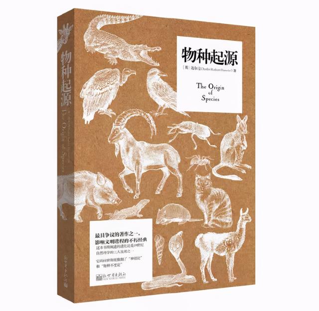 新派八字算命软件手机 新派八字算命软件手机