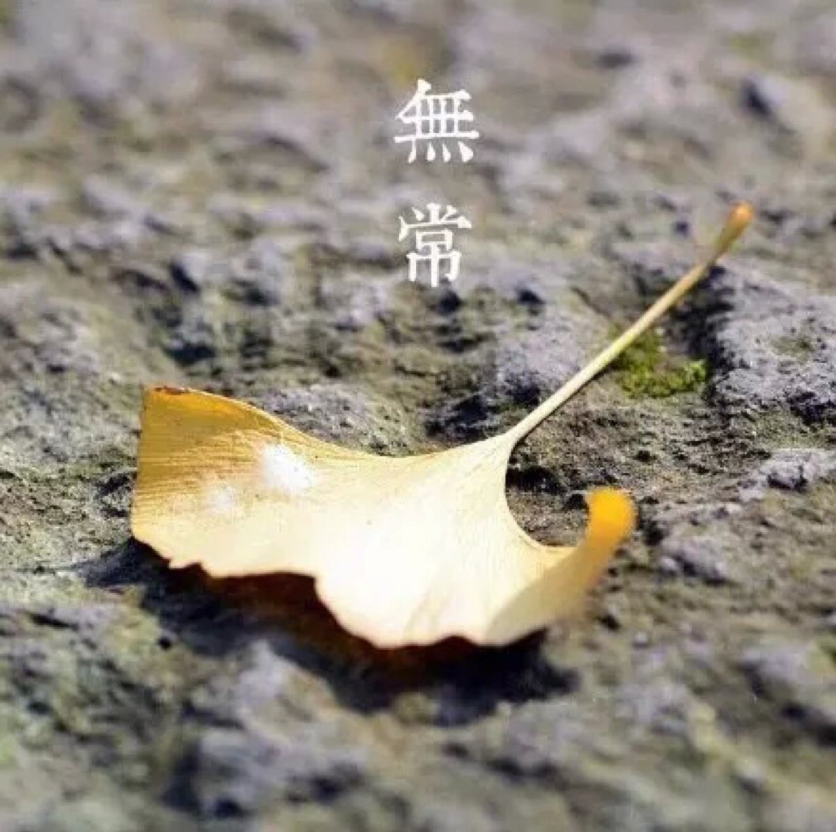 八字能知道前世今生吗