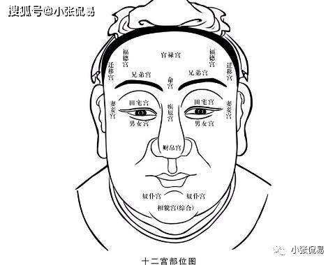 面相有2个八字