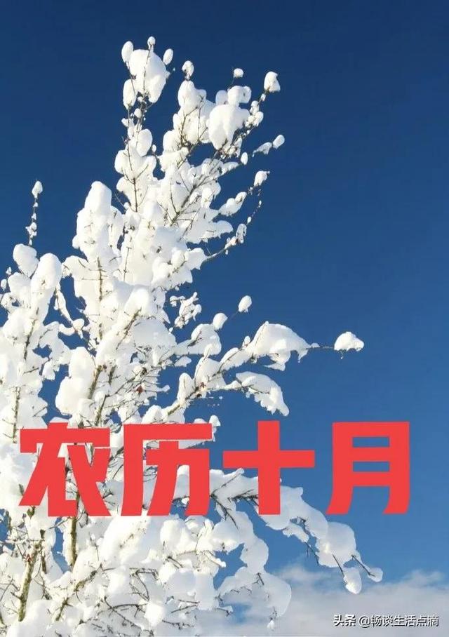 1975年兔女冬月生在2022运势如何 1975年兔女冬月生在2022运势如何
