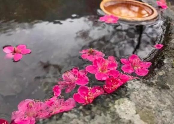 八字抒情古文 八字抒情古文