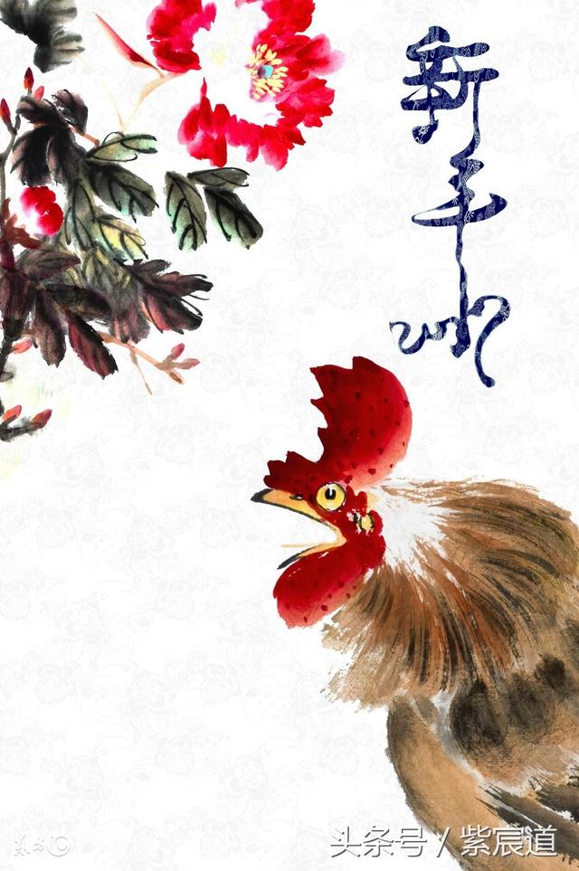 1981辛酉年在2022年的运势