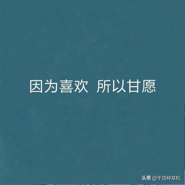 八字表白哭对象图片
