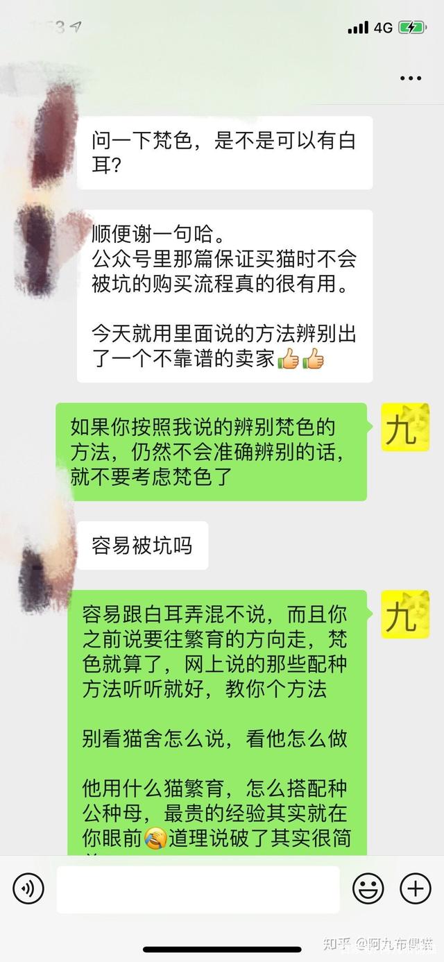 枫叶脸和八字脸的区别 枫叶脸和八字脸的区别