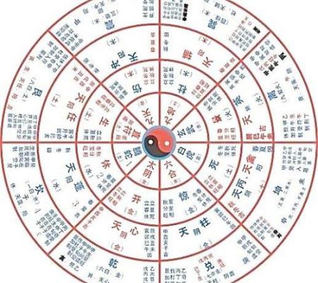 怎么查八字阳干阴干