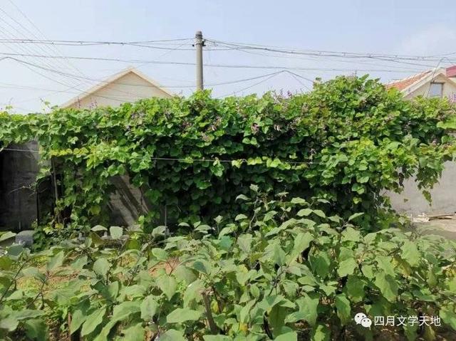带八字开头的网名霸气 带八字开头的网名霸气