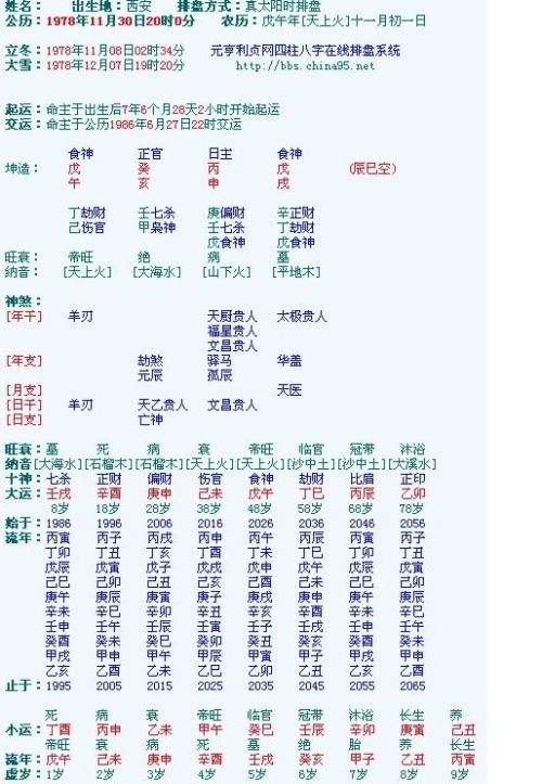 专业的八字排盘软件