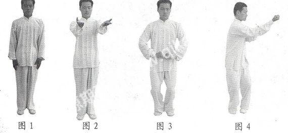 传统八字视频 传统八字视频