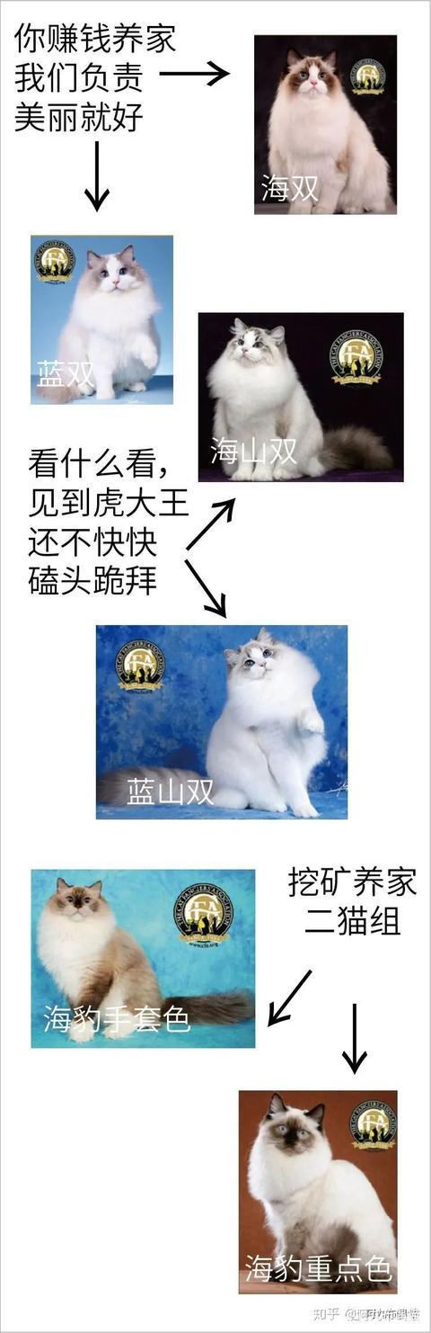 枫叶脸和八字脸的区别 枫叶脸和八字脸的区别