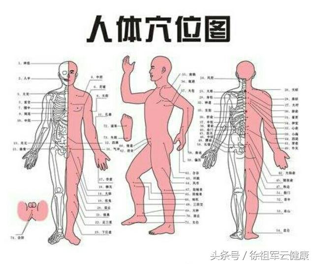 八字傻瓜疗法