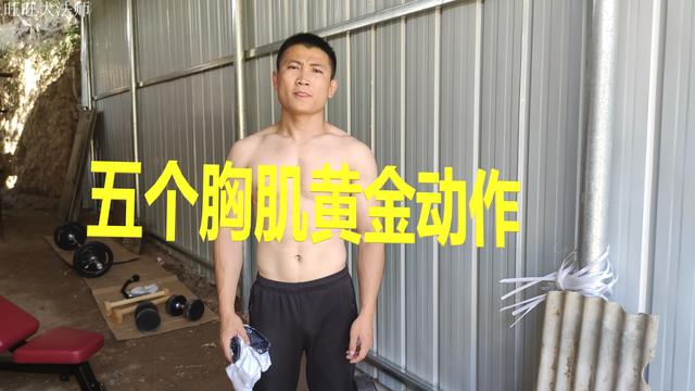 胸肌八字 胸肌八字