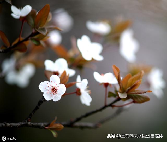 八字从儿格实例 八字从儿格实例