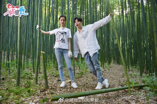 陈都灵刘宪华八字合吗?