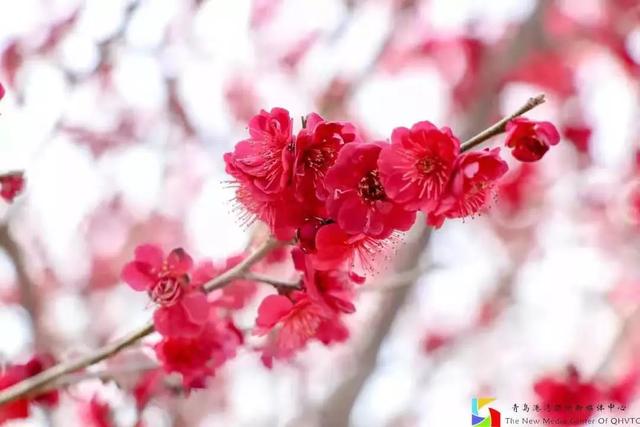 八字成语鼓励进步 八字成语鼓励进步