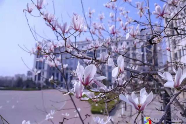 八字成语鼓励进步 八字成语鼓励进步