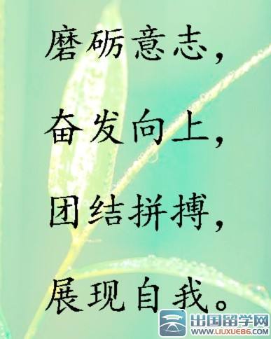 八字口号霸气押韵搞笑
