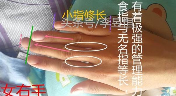 八字命九字命十字命