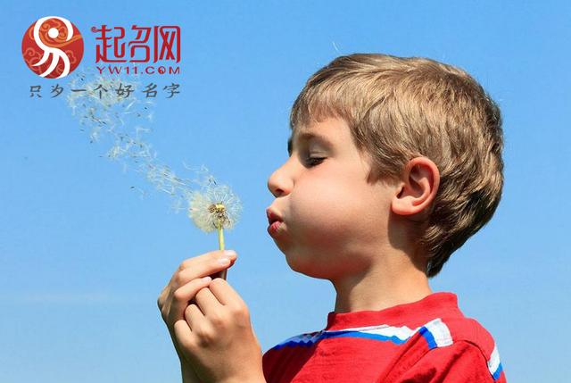 生辰八字起名咨询舜缘居 生辰八字起名咨询舜缘居