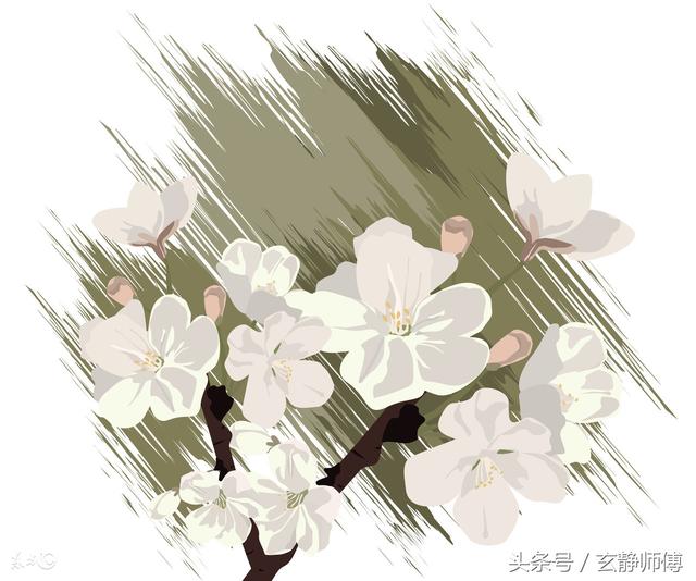 2019年必定结婚的八字