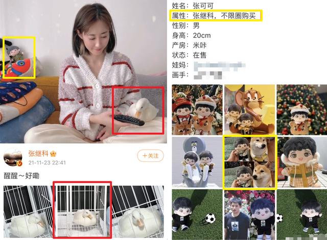老黄历姓名八字免费测