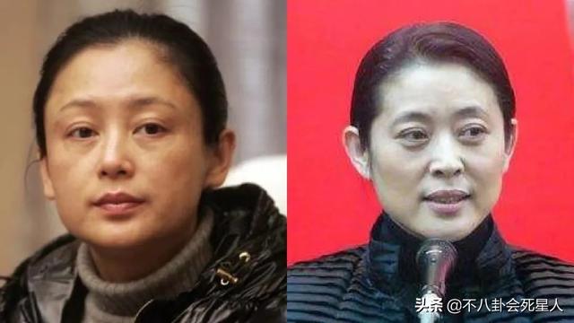 倪萍八字面相分析 倪萍八字面相分析