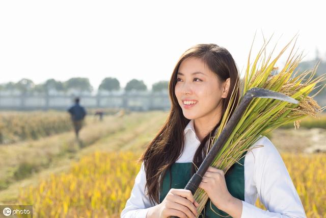 属虎和属牛的八字算命 属虎和属牛的八字算命