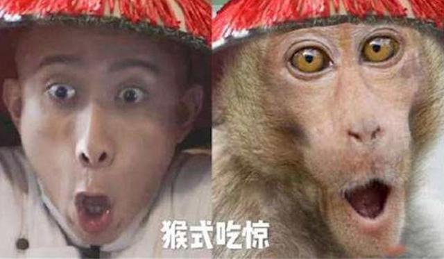 彭于晏八字分析 彭于晏八字分析