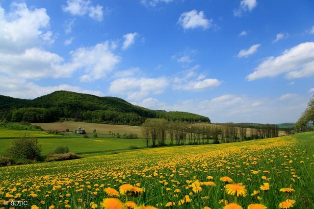 八字月带桃花