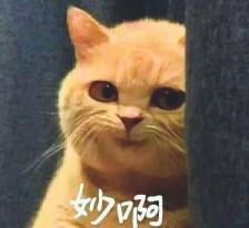 易奇八字算命树 易奇八字算命树