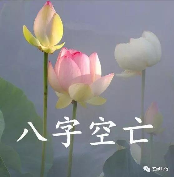 八字带空亡