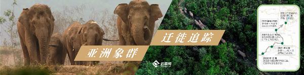 什么八字有人保护 什么八字有人保护