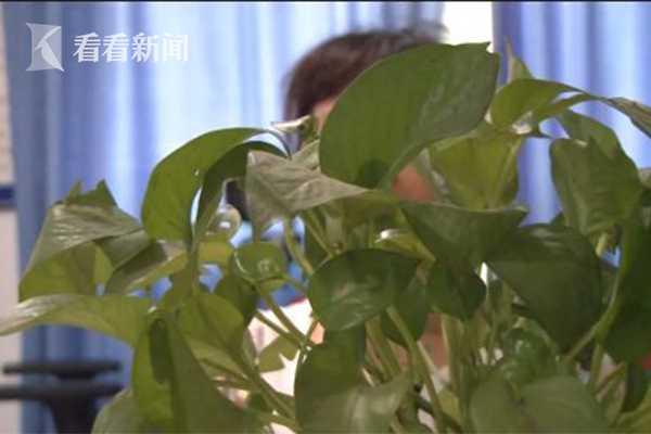 重庆哪算八字 重庆哪算八字