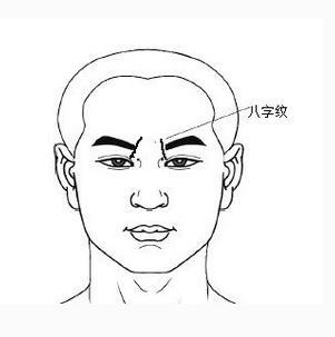 两眉毛中间有八字纹